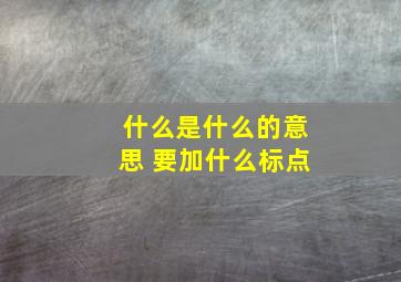 什么是什么的意思 要加什么标点